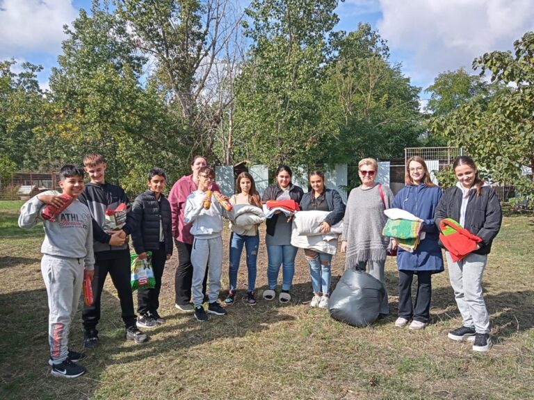 Gyűjtés a gyulai Állatotthon Alapítvány részére